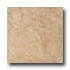 Tesoro Amalfi 8 X 12 Oro Tile & Stone