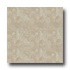 Armstrong Camino 12 X 12 Cuzco Tile & Stone