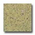 Santa Regina Accent 16 X 16 (antique) Peridot Terr