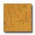 Anderson Mountain Hickory Rustic 5 Golden Hardwood Flooring
