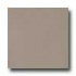 Marazzi Le Cromie Matt Natural 8 X 8 Fumo Tile & Stone
