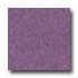 Mannington Brushwork Ultra Violet Vinyl Flooring