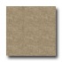 Armstrong Camino 18 X 18 Noche Tile & Stone