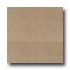 Daltile Kimona Silk 12 X 12 Sprout Tile & Stone