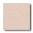 Crossville Cross-colors A 8 X 8 Polished Fawn Tile & Stone