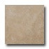 Emser Tile Tivolti 20 X 20 Beige Tile & Stone