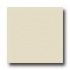Daltile Design Porcelain Unpolished 8 X 8 Diamante Tile & Stone