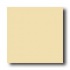 Daltile Festiva 3 X 6 Chiffon Tile & Stone