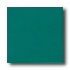 American Olean Integra 12 X 12 Hunter Solid Tile & Stone