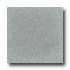 Santa Regina Designer 24 X 24 (polished) Dovetail Terrazzo Tile