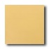 Daltile Designer Colours 8 X 8 Mustard Tile & Stone