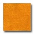 Forbo Marmoleum Click Plank Golden Sunset Vinyl Fl