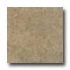 Armstrong Colestone 16 X 16 Colestone Taupe Tile & Stone