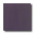 Daltile Designer Colours 12 X 12 Purple Tile & Stone