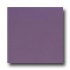 Interceramic Colours 8 X 8 Purple Plum Tile & Stone