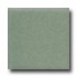 Daltile Keystones Permabrites Mosaic 2 X 2 Gloss Cypress Tile &