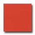 Daltile Liners Flat 1 X 6 Coral Bead Tile & Stone