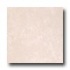 Tesoro Tivoli 12 X 12 Avorio Tile & Stone