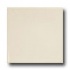 Horus Art Ceramiche Cristalli 5 X 5 Vanilla Tile & Stone