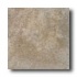 Daltile Alta Vista 12 X 12 Drift Wood Tile & Stone