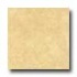 Bella Cera Riviera 16 X 16 Beige Tile & Stone