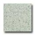 Santa Regina Designer 24 X 24 (antique) Sage Terrazzo Tile