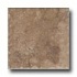 Geo Ceramiche Camelot Outdoor 13 X 13 Noce Tile & Stone