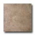 Italgres Scabos 20 X 20 Noce Tile & Stone