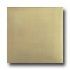 Tilecrest Bellisima 3 X 6 Olive Leaf Tile & Stone
