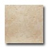 Alfagres Stone 12 X 12 Cafe Tile & Stone