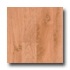 Tarkett Personal Expressions - Hillsdale Cambridge Vinyl Floorin