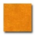 Forbo Marmoleum Click Tile Golden Sunset Vinyl Flo