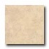 Armstrong Tusk 12 X 12 Tusk Beige Tile & Stone