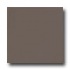 Armstrong Mode - Solids Chocolicious Brown Vinyl Flooring