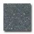 Santa Regina Architectural 24 X 24 (polished) Charcoal Terrazzo