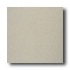 American Olean Terra Paver Unpolished 8 X 8 Naturale Tile & Ston