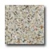 Santa Regina Architectural 24 X 24 (polished) Arctic Terrazzo Ti