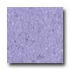 Mannington Brushwork Lavender Vinyl Flooring