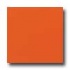 Daltile Liners Flat 1/2 X 6 Orange Burst Tile  and  St