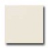 Daltile Modern Dimensions 2 1/8 X 8 1/2 Biscuit Tile & Stone