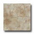 Tarkett Preference Plus Nt - Bayhill 6 Butternut Birch Vinyl Flo