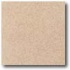 Daltile Vitrestone Select 8 X 8 Buffstone Tile  and  S