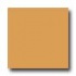 Daltile Design Porcelain Unpolished 4 X 4 Pietra Di Sole Tile &
