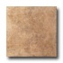 Cinca Forum 13 X 13 Nut Tile & Stone