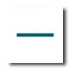 American Olean Sizzle Strips 6 X 1/2 Teal Tile & Stone