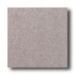 American Olean Terra Granite 12 X 12 Speckled Taupe Tile & Stone