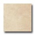 American Florim Dublin Stone 18 X 18 Willow Tile & Stone