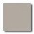 Daltile Festiva 6 X 6 Driftwood Tile & Stone