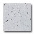 Armstrong Excelon Companion Square Premium Mono Gray Vinyl Floor