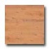 Earth Werks Aberdeen Plank 4921 Vinyl Flooring